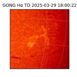 gong - 2025-03-29T18:00:22