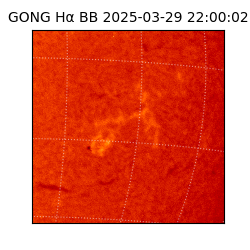 gong - 2025-03-29T22:00:02