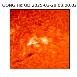 gong - 2025-03-29T03:00:02