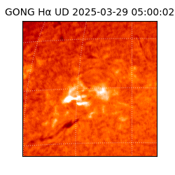 gong - 2025-03-29T05:00:02