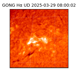 gong - 2025-03-29T08:00:02