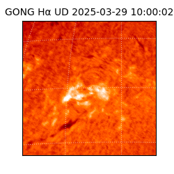 gong - 2025-03-29T10:00:02