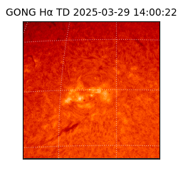 gong - 2025-03-29T14:00:22