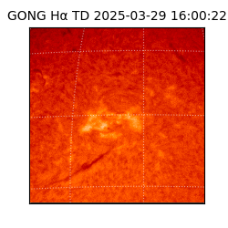 gong - 2025-03-29T16:00:22