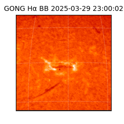 gong - 2025-03-29T23:00:02
