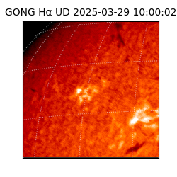 gong - 2025-03-29T10:00:02