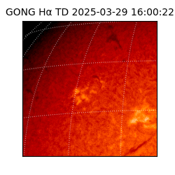 gong - 2025-03-29T16:00:22