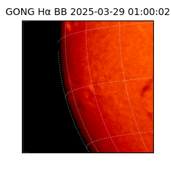gong - 2025-03-29T01:00:02