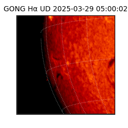 gong - 2025-03-29T05:00:02