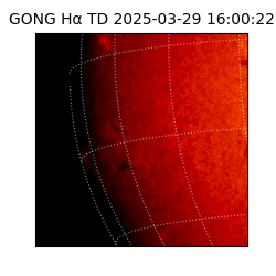 gong - 2025-03-29T16:00:22