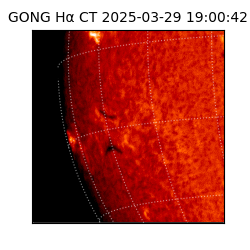 gong - 2025-03-29T19:00:42