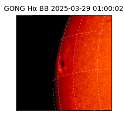 gong - 2025-03-29T01:00:02
