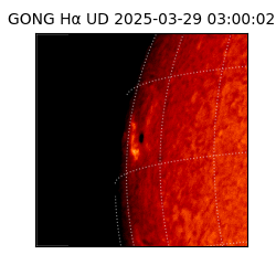gong - 2025-03-29T03:00:02