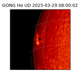 gong - 2025-03-29T08:00:02
