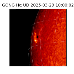 gong - 2025-03-29T10:00:02