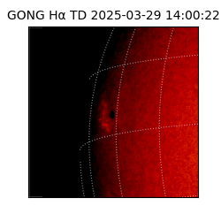 gong - 2025-03-29T14:00:22