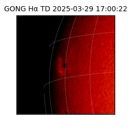 gong - 2025-03-29T17:00:22