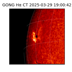 gong - 2025-03-29T19:00:42