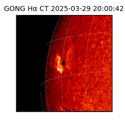 gong - 2025-03-29T20:00:42