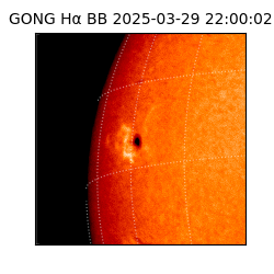 gong - 2025-03-29T22:00:02