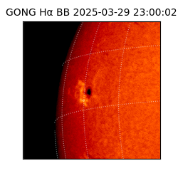 gong - 2025-03-29T23:00:02