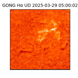 gong - 2025-03-29T05:00:02