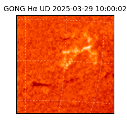 gong - 2025-03-29T10:00:02