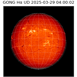 gong - 2025-03-29T04:00:02