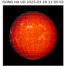 gong - 2025-03-29T12:00:02