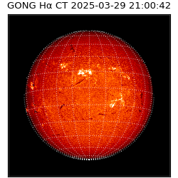 gong - 2025-03-29T21:00:42
