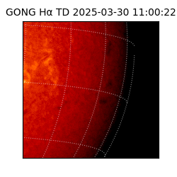 gong - 2025-03-30T11:00:22