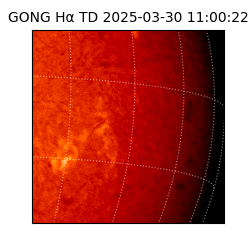 gong - 2025-03-30T11:00:22