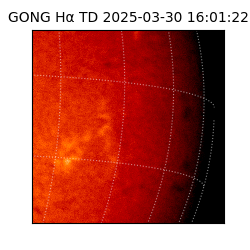 gong - 2025-03-30T16:01:22