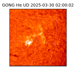 gong - 2025-03-30T02:00:02