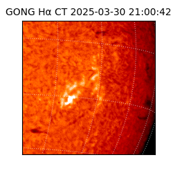 gong - 2025-03-30T21:00:42