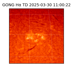 gong - 2025-03-30T11:00:22