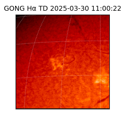 gong - 2025-03-30T11:00:22
