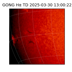gong - 2025-03-30T13:00:22