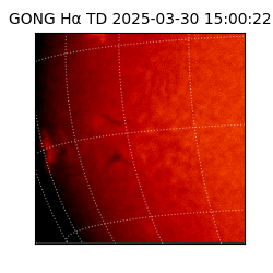 gong - 2025-03-30T15:00:22