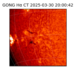 gong - 2025-03-30T20:00:42