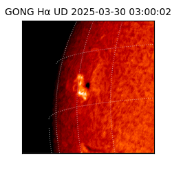 gong - 2025-03-30T03:00:02