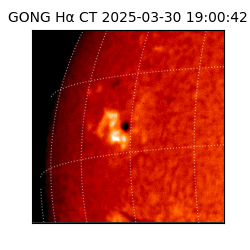 gong - 2025-03-30T19:00:42