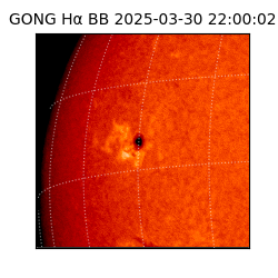 gong - 2025-03-30T22:00:02