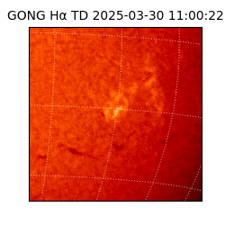 gong - 2025-03-30T11:00:22