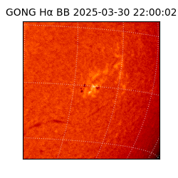 gong - 2025-03-30T22:00:02