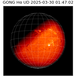 gong - 2025-03-30T01:47:02