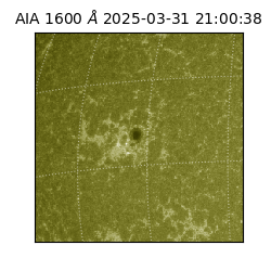 saia - 2025-03-31T21:00:38.126000