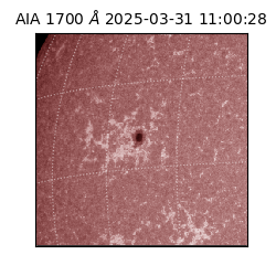 saia - 2025-03-31T11:00:28.717000