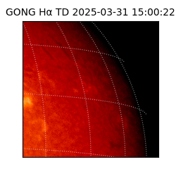 gong - 2025-03-31T15:00:22