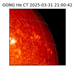 gong - 2025-03-31T21:00:42